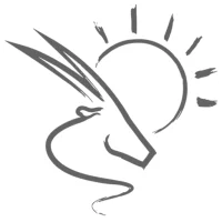 Pocket Guide Namibia