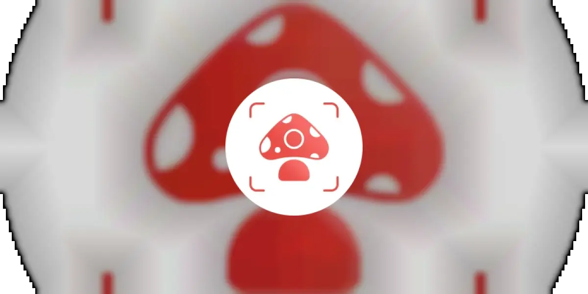 Picture Mushroom - Mushroom ID